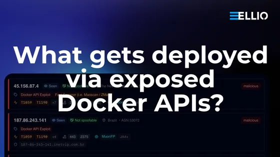 What Gets Deployed via Exposed Docker APIs